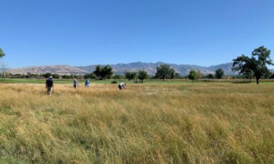 Drought-resistant grass now at some Salt Lake City golf courses