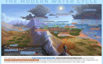 An educational illustration of the water cycle including human impact. This illustration comes from a project aiming to include human impact in water conservation discussions. (Courtesy Sophie Hill)