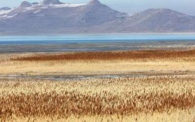 Antelope Island in the Great Salt Lake on Tuesday, Feb. 7. A proposed bill would set up a new commissioner who would oversee the efforts to get water into the lake. (Jeffrey D. Allred, Deseret News)