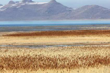 Antelope Island in the Great Salt Lake on Tuesday, Feb. 7. A proposed bill would set up a new commissioner who would oversee the efforts to get water into the lake. (Jeffrey D. Allred, Deseret News)