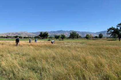 Several golf courses in Salt Lake City have switched to more drought-resistant types of grass along portions of the courses. (Salt Lake City Department of Public Utilities)