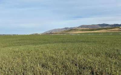 Hay fields and pivot irrigation systems on a farm in Paradise, Utah. (Ben Winslow, FOX 13 News)