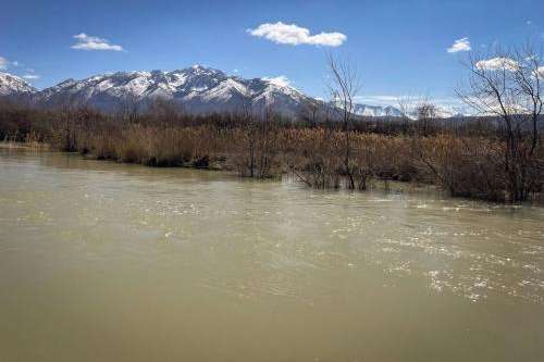 High water during runoff on the Jordan River in Utah County, April 9, 2024. Water levels are high enough to submerge flood plains this year, but with climate change, this could become an increasingly rare occurrence. (Tilda Wilson, KUER)